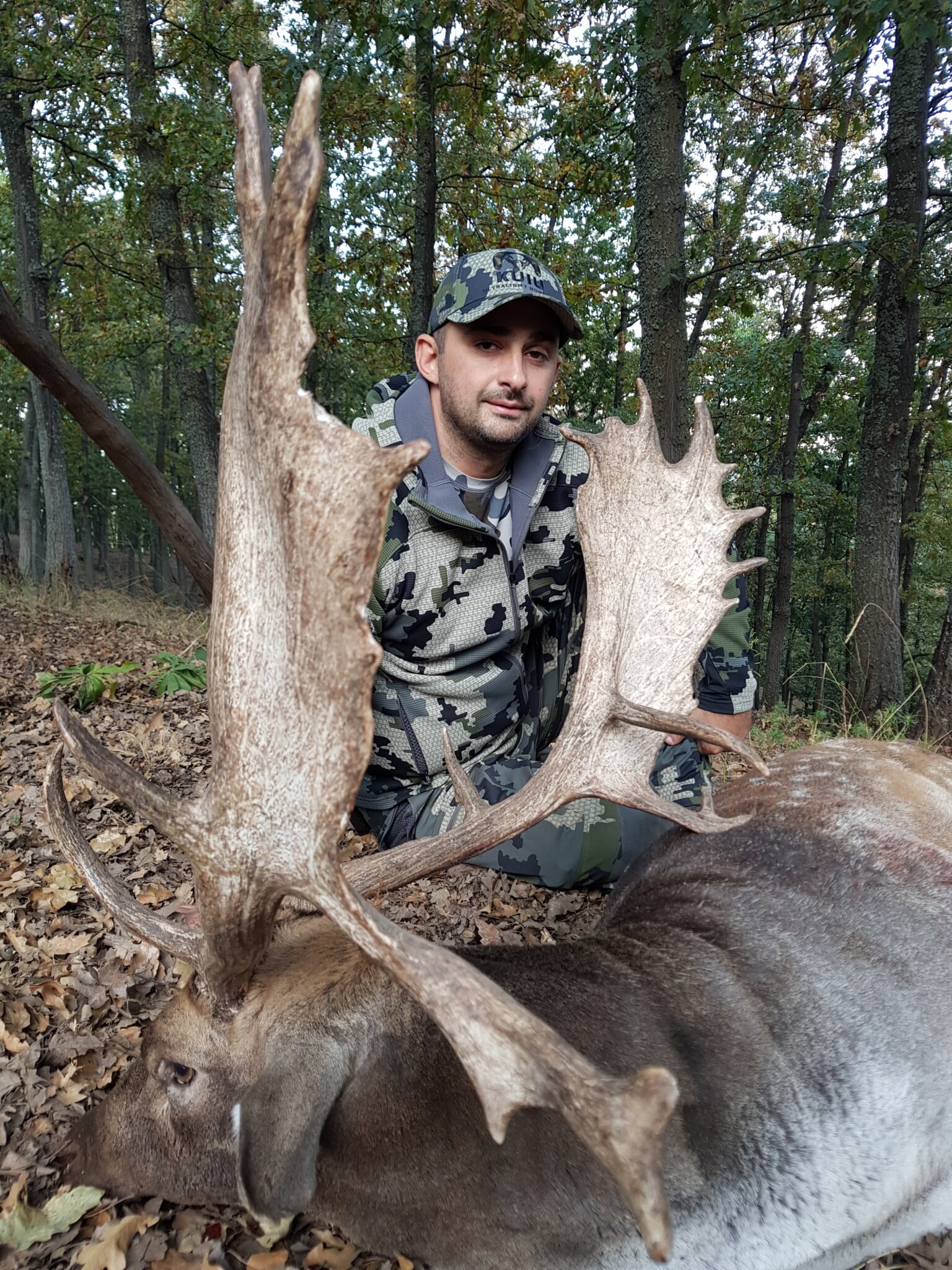 Gold medal fallow deer hunt in Bulgaria